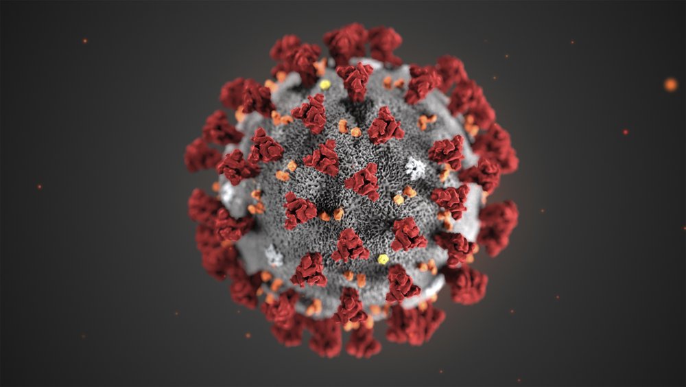 Virus corona